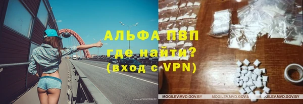 мет Алексин