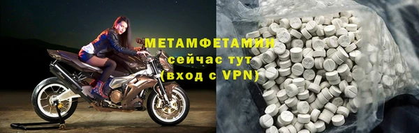 прущие грибы Алапаевск