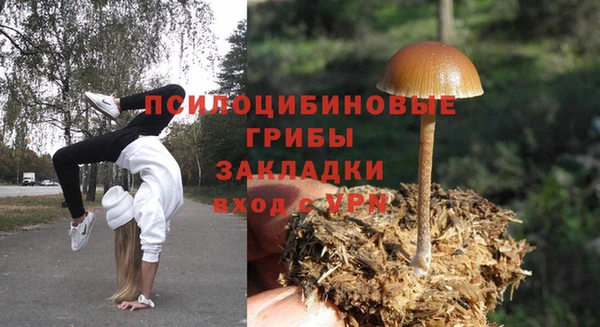 мет Алексин