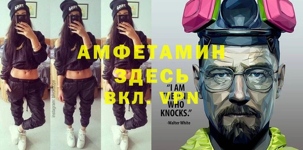 мет Алексин