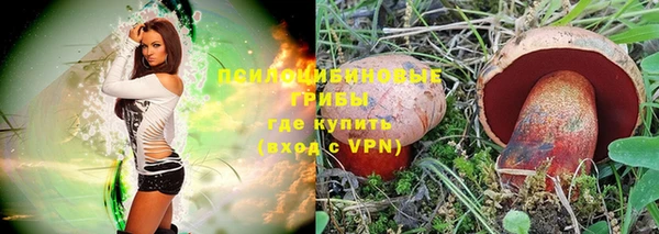 первитин Алексеевка