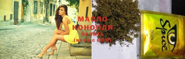 мет Алексин